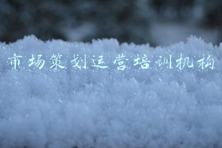 市场策划运营培训机构