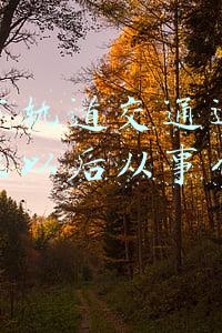 学城市轨道交通运营管理专业以后从事什么