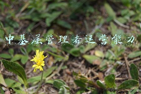 中基层管理者运营能力