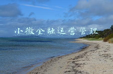 深圳小微金融服务有限公司(邢毓静：金融支持中小微纾困的深圳实践)