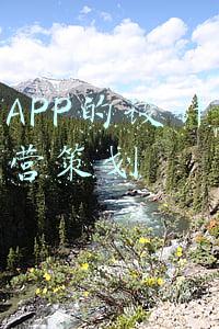 盲人APP的设计分析和运营策划