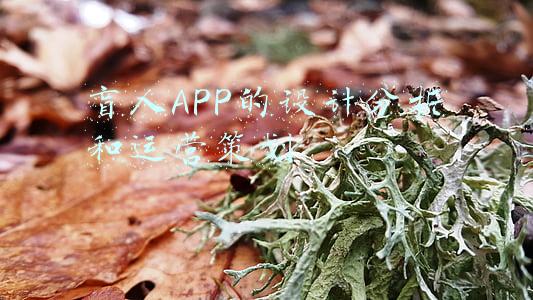 盲人产品设计(案例分析：从为盲人设计闹钟，来谈一下结构化产品思维)