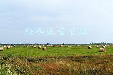 绥化运营管理