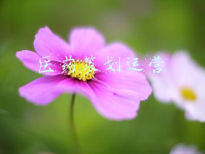 医药策划运营