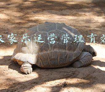 农家乐运营管理有效
