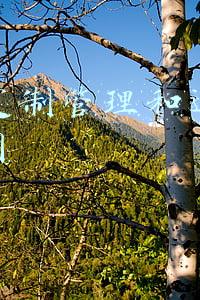 全屋定制管理和运营代理合同