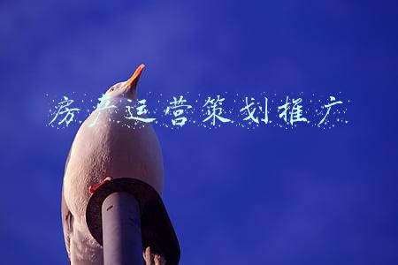 房地产营销推广策略(2021下半场，硬核地产营销方式，你也应该做到)