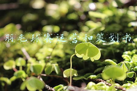 羽毛球赛活动策划方案(羽毛球赛事安全稳定和应急管理工作指导方案)