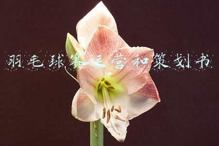 企业羽毛球赛策划方案(团建活动方案)