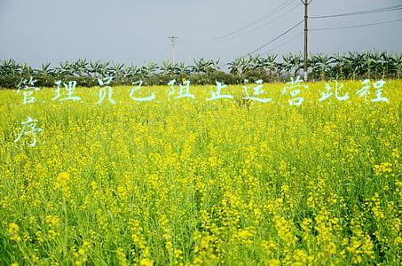 管理员阻止运行(用户账户控制：为了对电脑进行保护，已经阻止此应用的解决办法)