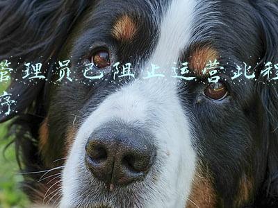 管理员已阻止了此应用程序(用最简单的方法解决“管理员已阻止你运行此应用”的问题)