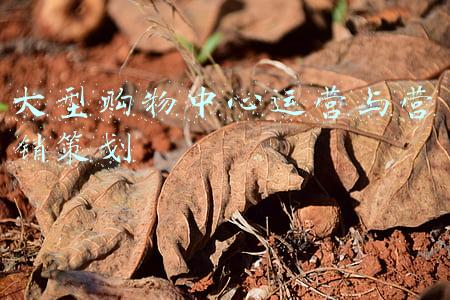 大型购物中心图片(抓住你的胃、玩得有点“野”……上海最大日月光商场开业，与轨交站点无缝对接)