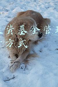 股权投资基金运作(私募股权投资基金募资现状及发展模式分析)