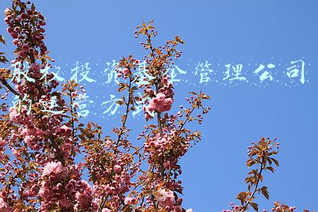 基金公司运作(净利超23亿！这家万亿基金巨头经营数据来了)