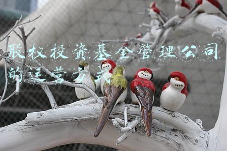 股权投资基金管理公司的运营方式