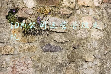IDM公司运营管理系统
