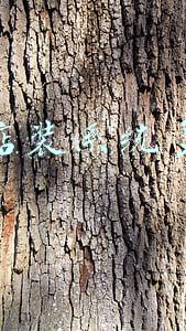 装个苹果系统多少钱(装一个苹果系统多少钱)