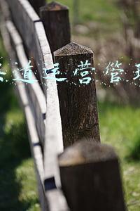 中国电信渠道经理工作总结(中国电信xx分公司2021年度工作情况总结，内容充实，结构精巧)