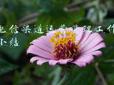 电信渠道运营管理工作小结