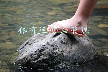 体育运营与管理