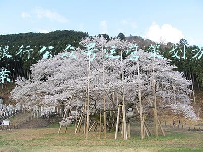 银行公众号运营策划方案