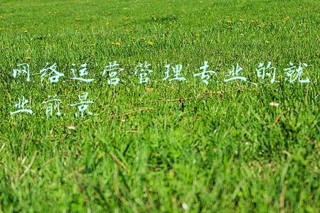 网络运营管理专业的就业前景