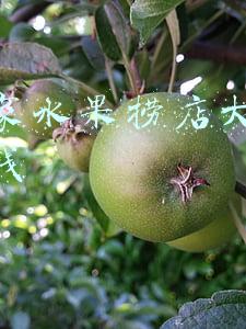 开水果捞店需要什么设备（开水果捞店需要什么）