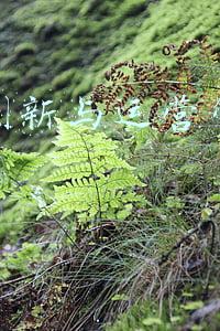 互联网金融创新与运营管理大赛(临沂职业学院智慧金融学院师生在各类技能大赛中获佳绩)