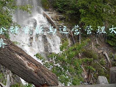 金融科技创新能力大赛(助力科技自主创新，赋能产业高质量发展 浦发银行举办第五届国际金融科技创新大赛)