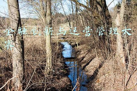 金融创新运营示范区(全国首个乡村振兴金融创新示范区落户四川)