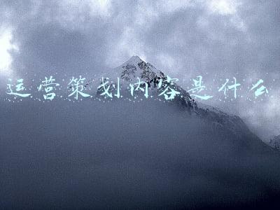 运营策划内容是什么