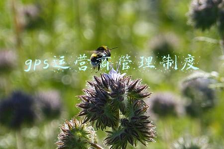 gps运营商管理制度