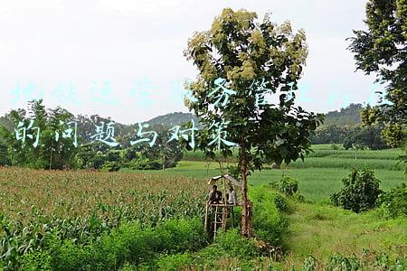 地铁运营服务管理存在的问题与对策