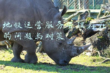 地铁运营服务管理存在的问题与对策