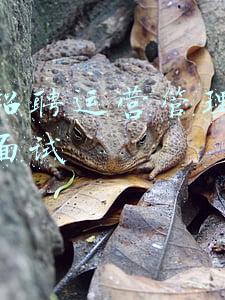 医院招聘运营管理人员如何面试