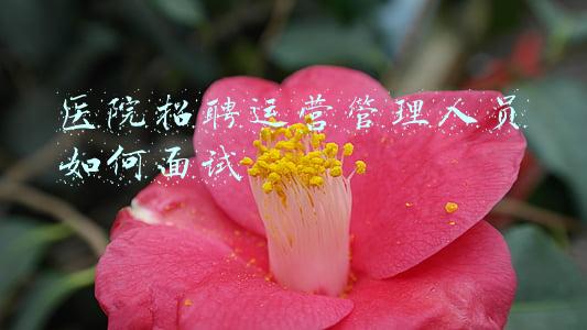 医院招聘运营管理人员如何面试