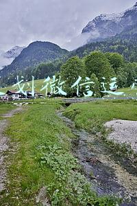 活动策划微信运营方案