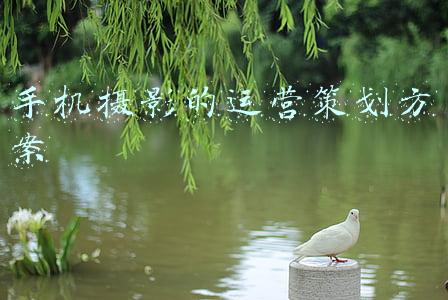 摄影策划方案怎么做(怎么根据产品特性制定产品摄影计划？)