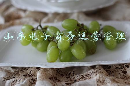 山东电子商务运营管理