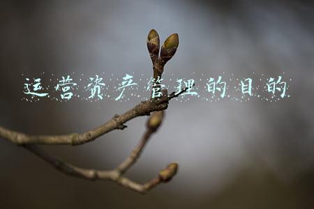 资产管理的目的是什么(金融大白话五——金融资产和资产管理)