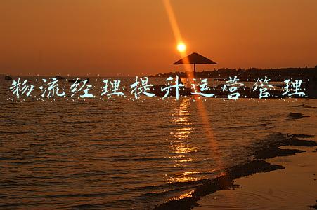 物流经理提升运营管理