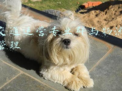 交通运营专业群与物流管理