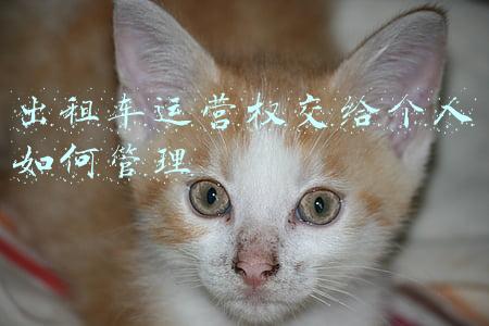 出租车归谁管理(杭州客运中心黄牛拉客，到底谁管)