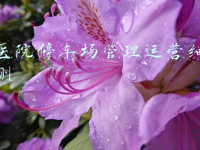 医院停车场管理规定(医院禁止50岁以下职工停车留给患者？网友吵翻了)