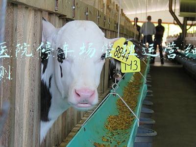 医院车辆停放管理规定(西京医院就医停车指南来了)
