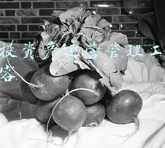 如何开展资产管理工作(马岭镇“四坚持”“四明确”扎实开展 扶贫资产管理工作)