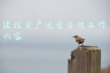 建投资产运营管理工作内容