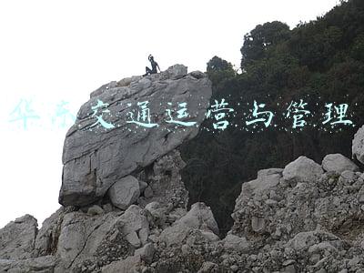华东交通运营与管理