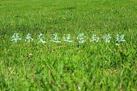 华东交通运营与管理
