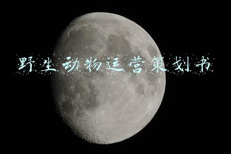 野生动物宣传(拒食野味 公明开展保护野生动物普法宣传)